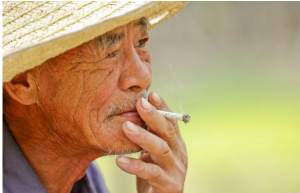 每日健康：长期抽烟的人患肺癌的几率更高