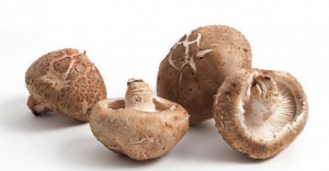 吃货的困扰——香菇中也含有甲醛？