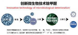 生物酶持续时间短？没有好效果？