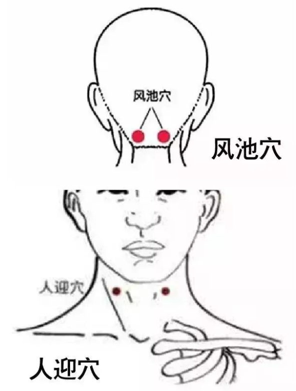 居家健康：秋分时节养生遵循“4个一点”！辅助解秋乏、降血压~