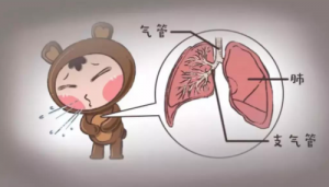 长期使用空气净化器对肺的伤害大吗？