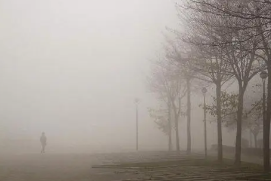 防雾霾空气净化器真的有用吗？