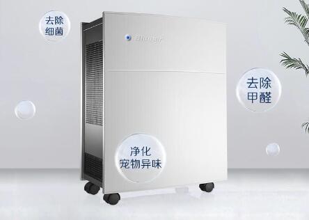 如何有效预防室内污染？