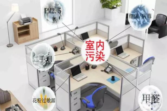 办公室的空气质量会直接影响员工工作质量吗？