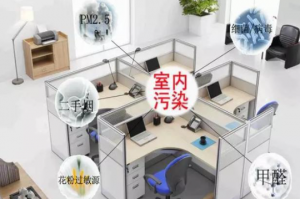 办公室的空气质量会直接影响员工工作质量吗？