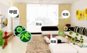 装修之后如何各方面做好除甲醛