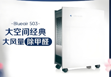 为什么选择租赁布鲁雅尔空气净化器