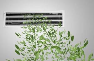 空气净化器除甲醛真的有效果吗？