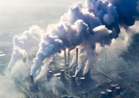 空气净化器租赁流程全解析：简单三步，轻松享受洁净空气