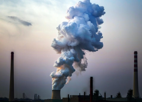 天津空气净化器租赁公司专业服务指南：灵活解决企业空气净化需求
