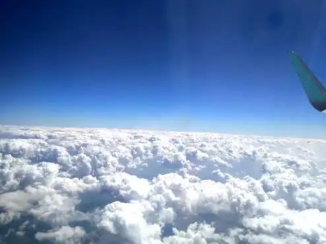 布鲁雅尔空气净化器租赁合适吗？答案藏在这些核心优势里